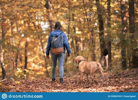 Woman And Her Dog Walking In Autumn Forest Stock Photo Image Of