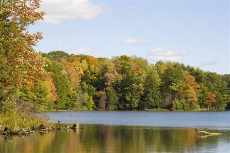 Check spelling or type a new query. Fall foliage at Hills Creek State Park, Pennsylvania State ...