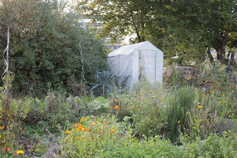 Campus Garten Würzburg - Garten Fräulein
