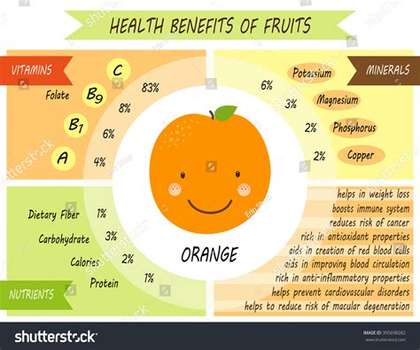 Cute Infographic Page Health Benefits Orange Stock Illustration