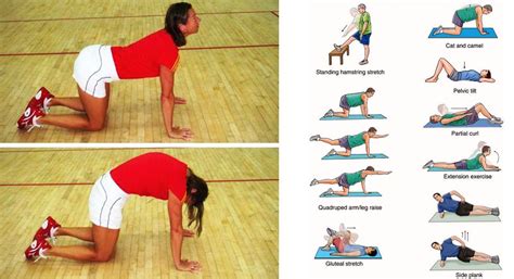 Lower Back Exercises Back Exercises Muscle And Fitness