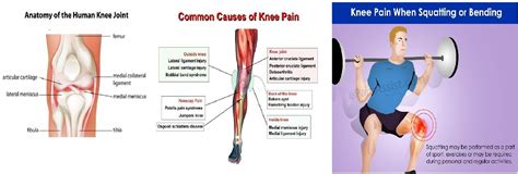 Pin On Gout Causes