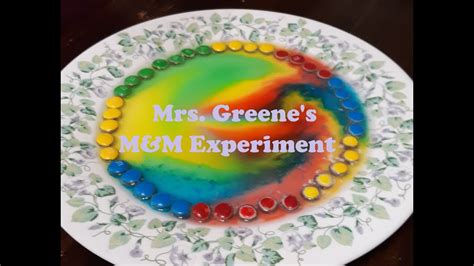 Mandms Science Experiment Youtube