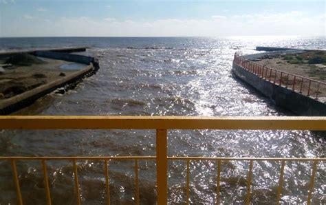 Он имеет естественный спуск к морю. Море в Одессе поменяло цвет и светится ночью из-за ...