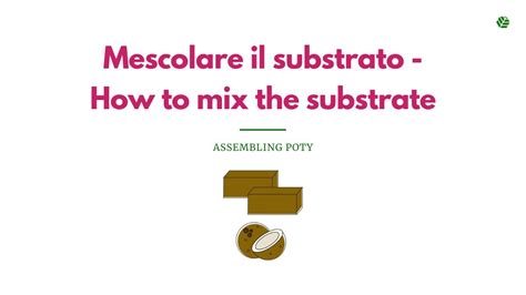 Mescolare Il Substrato How To Mix The Substrate Youtube