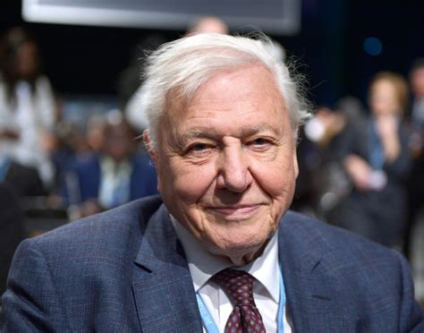 Galapagos with david attenborough follows broadcaster and natural historian david attenborough to one of the most unique and biologically diverse spots on the planet: David Attenborough na COP24. Kilka zdań, które poruszyło ...
