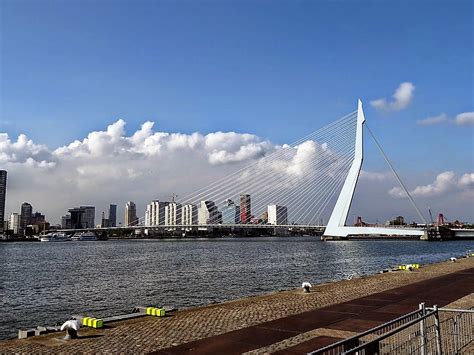 Overview details + add to comparison. 5-five-5: Erasmus Bridge (Rotterdam - Netherlands)