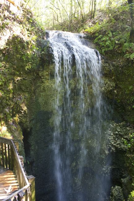 Explore Falling Waters State Park Walton Outdoors