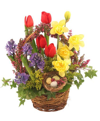 Its Finally Spring Basket Arrangement Spring Flowers Flower Shop