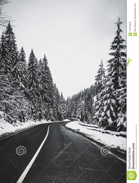 Black Asphalt Winding Road In Snowy Forest Stock Photo Image Of Empty
