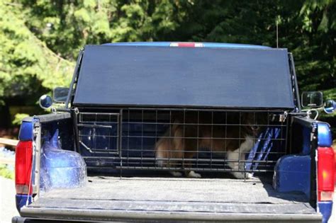 Well you're in luck, because here they come. Buy the patent: Big Pawz Pickup Truck Bed Pet Shelter or ...