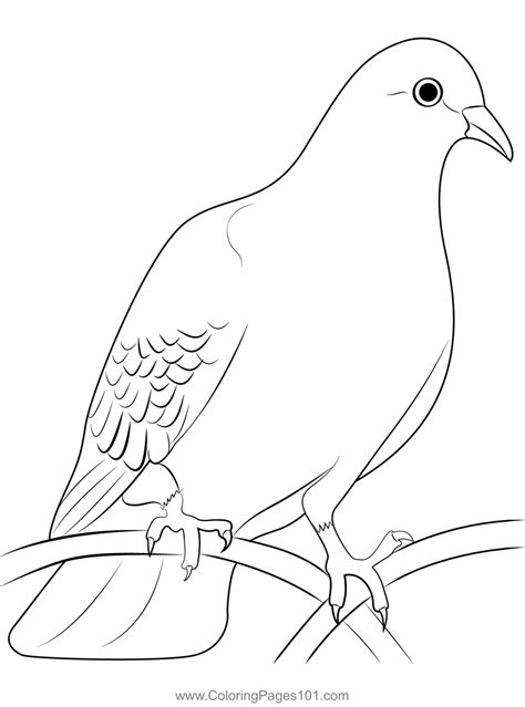 Dove Coloring Page for Kids - Free Pigeons and Doves Printable Coloring