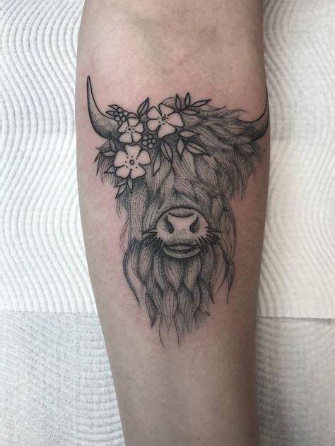 The 25 Best Cow Tattoo Ideas On Pinterest Cow Drawing Highland Cow