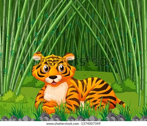 Tiger Bamboo Forest Illustration Stock Vector Royalty Free 1374007349