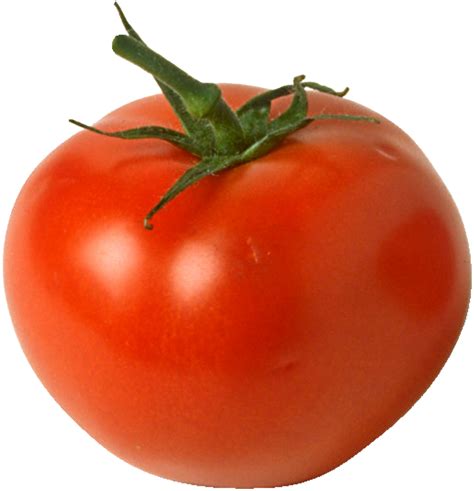 Tomato Free Png Image Png All