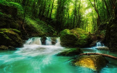 Landscape Nature Waterfall Forest Rock Sunlight