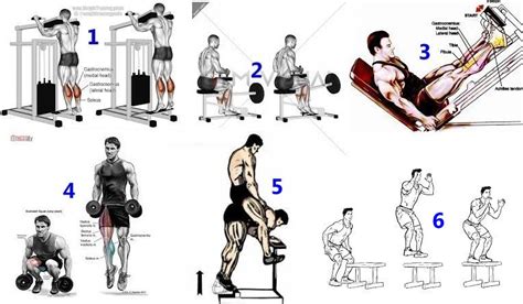 The Top 6 Exercises For Increasing Calf Mass ~