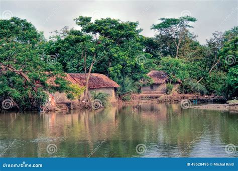 Village In Bangladesh Stock Image Image Of Scenery Jungle 49520495
