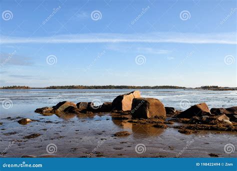 White Sea In Karelia Russia Stock Photo Image Of Coast Awesome