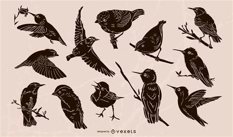Birds Vector And Graphics To Download