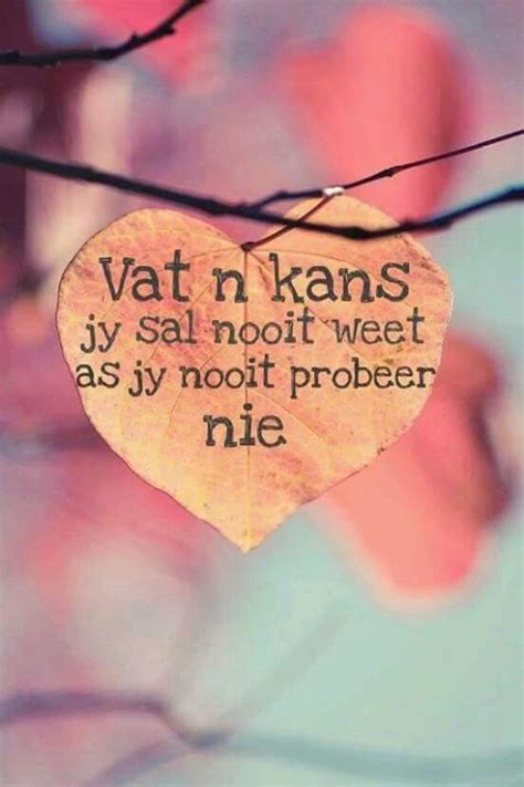 Best Afrikaans Quotes Oor Liefde Of All Time Don T Miss Out Quotesgram5