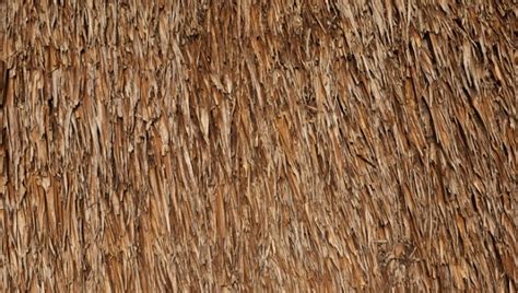 12 Thatched Roof Textures Psd Vector Eps Format Download