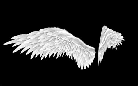 3d Model Angel Wings Type 2 Level 3 Cgtrader