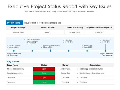 Powerpoint Executive Project Status Report Template