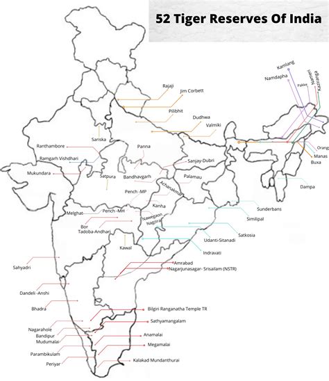 The Ultimate Guide To 52 Tiger Reserves In India