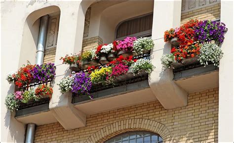 25 Most Beautiful Flowers Ideas For Window Boxes 2019 31 Balcony