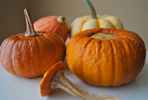 Healthy And Gourmet Mini Pumpkins With Coconut Lime Custard