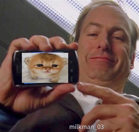 Cute Cats Funny Cats Silly Cats Pictures Mike Ehrmantraut Better Call Saul Breaking Bad