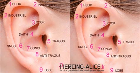 Ils commencent à s'aventurer dans les habitations à partir du mois de juin ou de juillet. Tragus piercing - Valoo.fr