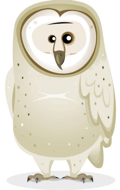 Barn Owls Cartoons Illustrations Royalty Free Vector Graphics And Clip