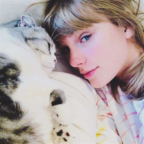 Taylor Swift Sets The Record Straight On Rumors Her Cat Meredith Is Missing Daily Pop News