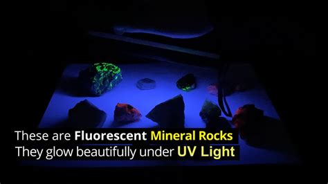 Fluorescent Mineral Rocks Glowing Under Uv Light Gadgetify Youtube