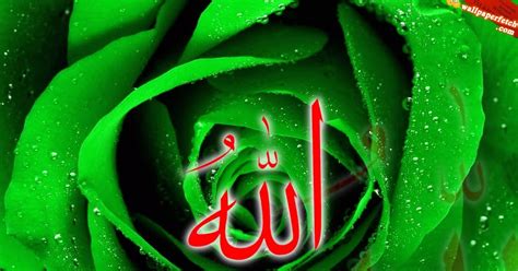 Allah Names Flower 130 Islamic Calligraphy Flower Photos Free Royalty