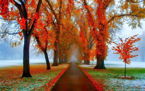 Autumn Wallpapers For Desktop 68 Images