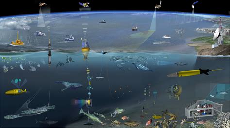 Frontiers Future Vision For Autonomous Ocean Observations