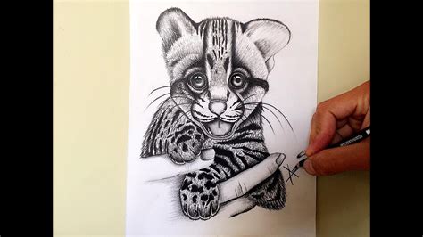 Esta vez tenemos a un caracol y a una tortuga. Como dibujar un tigre - YouTube