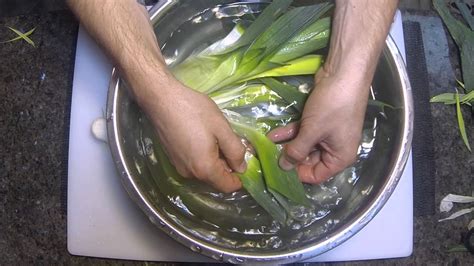 The Best Way To Clean And Prepare Leeks Youtube