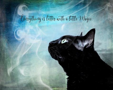 Black Cat Feline Magic Photograph By Melissa Bittinger Fine Art America