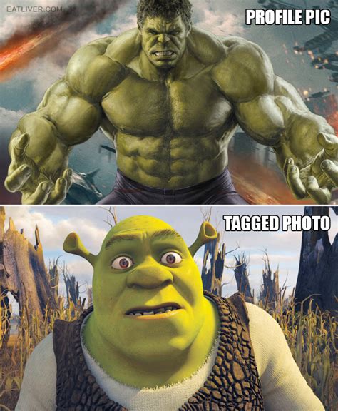 Shrek And Hulk Meme