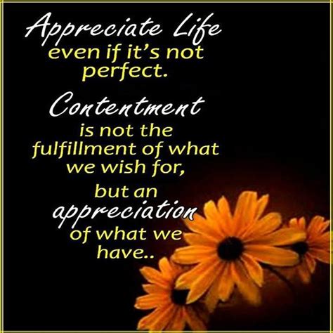 Appreciate Life Even If Its Not Perfect Quotes Appreciation Life
