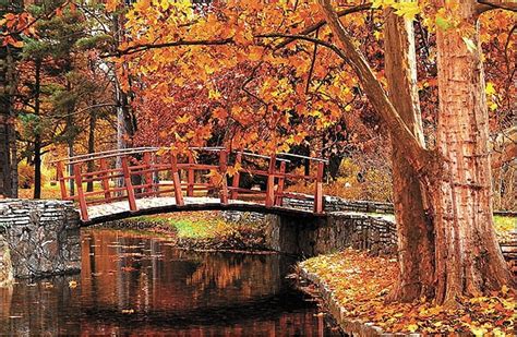 Autumn Bridge Colorful Fall Autumn Leaves Bridge Trees Lake Hd