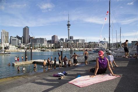Auckland Day Tour 8 Hours Auckland Scenic Tours