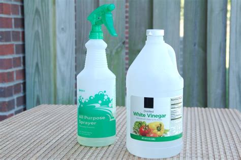 Is White Vinegar A Good Bug Repellent Homemade Bug Spray