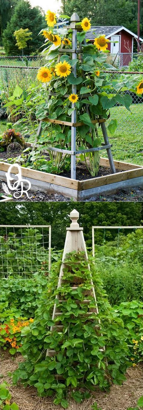 We show you different types of trellises for the. 21 EASY DIY GARDEN TRELLIS IDEAS & VERTICAL GROWING STRUCTURES