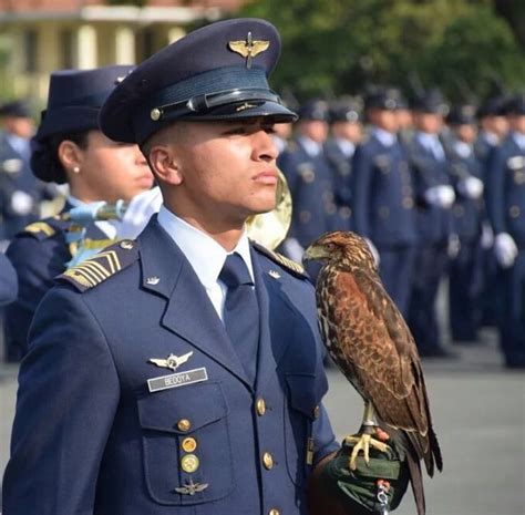 168 cadetes de la fuerza aérea colombiana dijeron si juro fuerza aérea colombiana