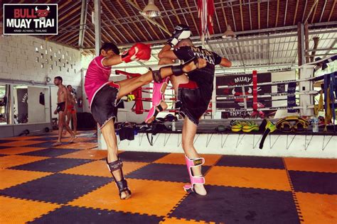 gallery pictures from our bull muay thai training camp in ao nang krabi